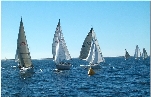 Marina Fishing & Boating
