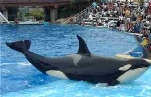 Sea World