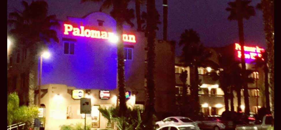 Palomar Inn Night